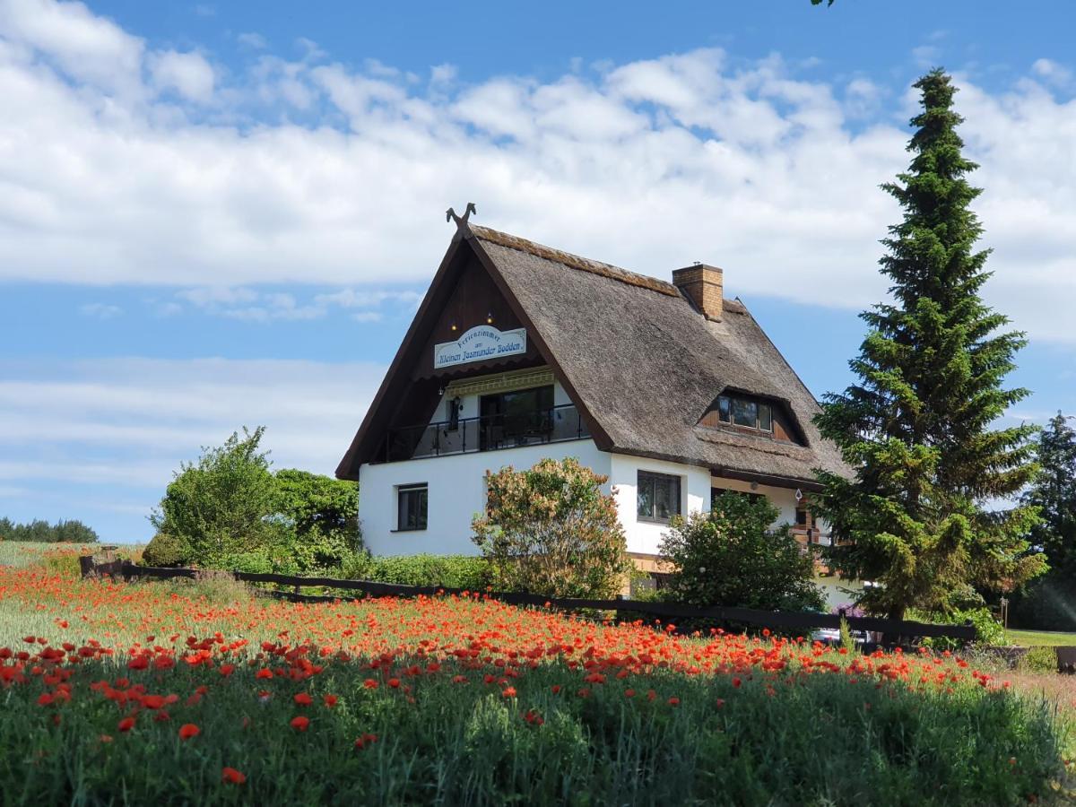 Pension Petersen Берген-ауф-Рюген Экстерьер фото